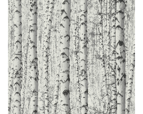 Papier peint intissé 38719-1 Pint Walls forêt de bouleaux blanc blanc