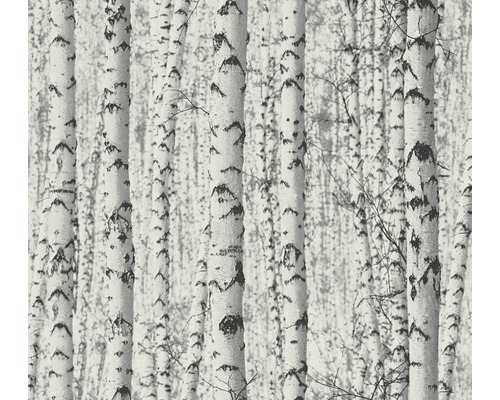 Papier peint intissé 38719-1 Pint Walls forêt de bouleaux blanc blanc Papier peint avec motif de forêt de bouleaux