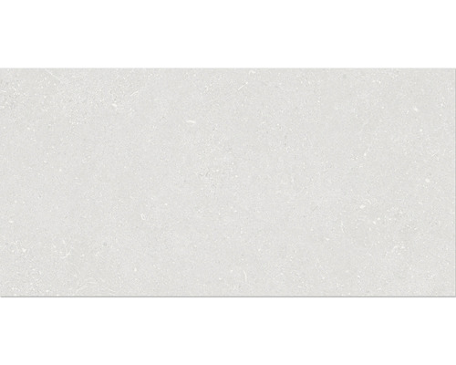 Carrelage mur et sol en grès cérame fin Alpen 30 x 60 cm blanc mat