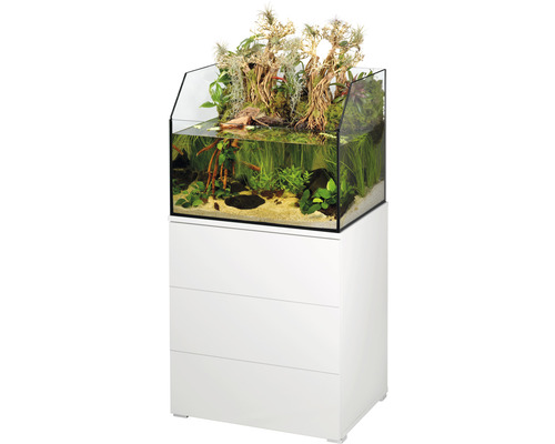 Eingerichtetes Aquarium mit Pflanzen und Dekoration auf einem Unterschrank