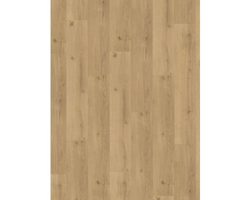 Lame vinyle Dryback Infinity nature à coller 229x1219x2 mm Revêtement de sol à structure en bois