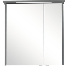 Spiegelschrank Pelipal xpressline 3261 66 x 16 x 72 cm grau 2-türig LED