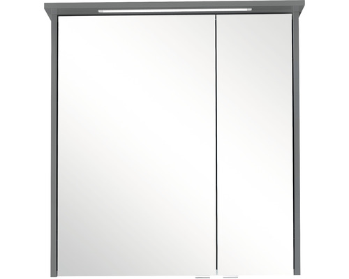 Armoire de toilette avec deux portes et éclairage