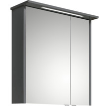 Spiegelschrank Pelipal xpressline 3261 66 x 16 x 72 cm grau 2-türig LED