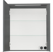 Spiegelschrank Pelipal xpressline 3261 66 x 16 x 72 cm grau 2-türig LED