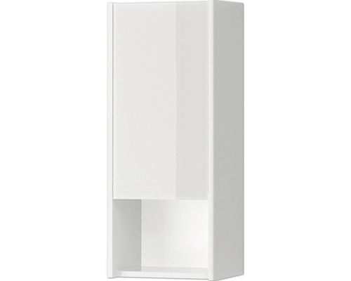 Armoire suspendue Pelipal xpressline 3261 blanc avec façade vitrée lxhxp 30 x 70 x 16 cm