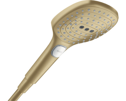 Handbrause hansgrohe Raindance Select E oval 120 x 120 mm brushed bronze 26520140 Handbrause mit verschiedenen Strahlarten