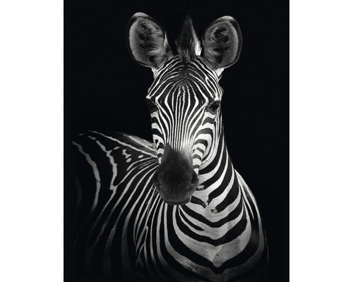 Decopanel Zebra 40x50 cm