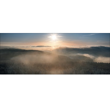 Paysage avec forêt, brouillard et lever de soleil