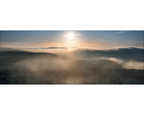 Paysage avec forêt, brouillard et lever de soleil