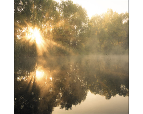 Morgensonne durchdringt Nebel über einem See mit Bäumen
