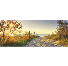 Chemin de sable vers la mer avec poteaux en bois et végétation au lever du soleil