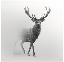 Glasbild Grey Deer V 20x20 cm