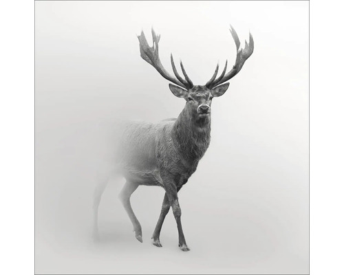 Tableau en verre Grey Deer V 20x20 cm