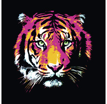 Glasbild Colored Tiger 80x80 cm