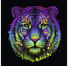 Glasbild Neon Tiger 30x30 cm