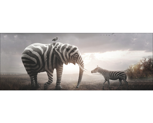 Tableau en verre Striped Animal Meeting 30x80 cm
