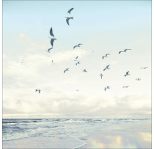 Photo de mouettes sur la plage