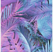 Feuilles tropicales, y compris feuilles de palmier et de fougère