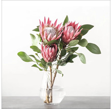 Fleurs de Protea dans un vase en verre