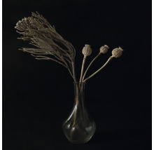 Fleurs séchées décoratives et capsules de pavot dans un vase en verre