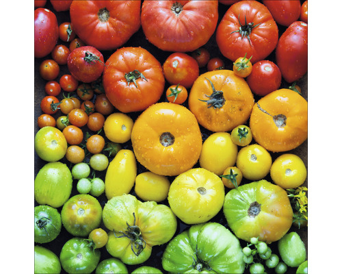Tableau en verre Colorful Tomatoes 20x20 cm