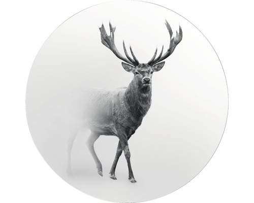 Tableau en verre rond Grey Deer V Ø 20 cm