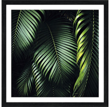 Image encadrée de feuilles tropicales comme décoration murale