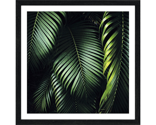 Image encadrée de feuilles tropicales comme décoration murale