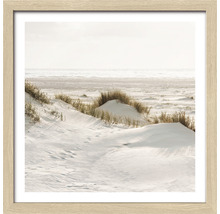 Gerahmtes Bild einer Dünenlandschaft am Meer