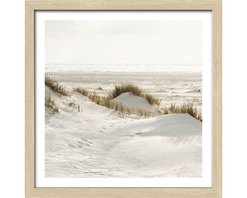 Gerahmtes Bild Dried Fiber V 28x28 cm Gerahmtes Bild einer Dünenlandschaft am Meer