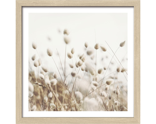 Gerahmtes Bild Dried Fiber IV 28x28 cm Gerahmtes Bild mit Grasähren