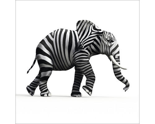 Panneau décoratif Striped Elefant 30x30 cm
