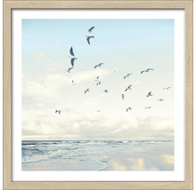 Gerahmtes Bild Seagulls Beach 33x33 cm