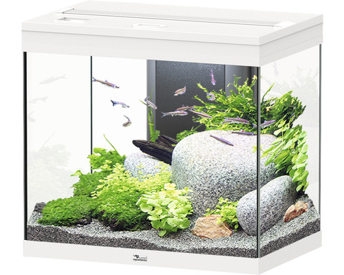 Aquarium aquatlantis Splendid 110 inkl. Beleuchtung, Filter weiß