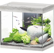 Aquarium mit Fischen, Pflanzen und Steinen