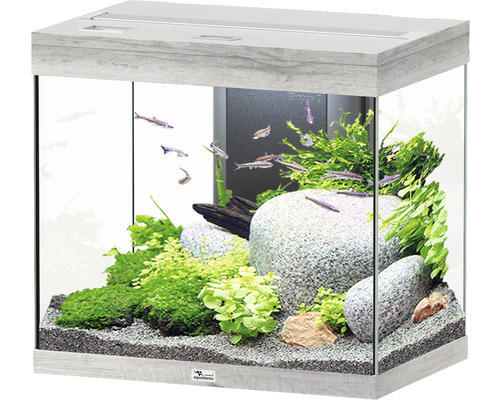 Aquarium aquatlantis Splendid 110 inkl. Beleuchtung, Filter Esche weiß