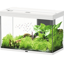 Aquarium avec plantes, poissons et cadre blanc