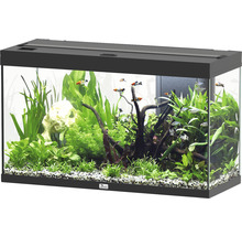 Aquarium mit Pflanzen, Dekorationen und Fischen