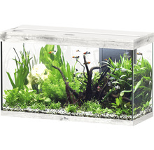 Aquarium avec plantes, poissons et bordure décorative en bois