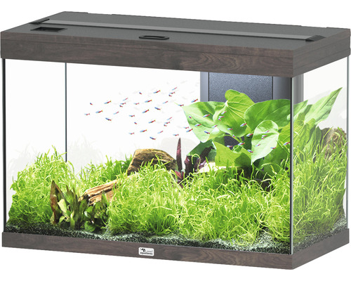 Aquarium aquatlantis Splendid 145 inkl. Beleuchtung, Filter Wildeiche dunkel