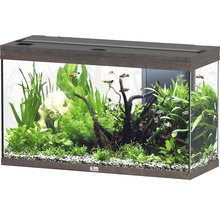 Aquarium aménagé avec plantes, poissons et décoration