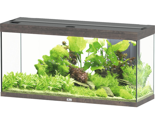 Aquarium aquatlantis Splendid 240 inkl. Beleuchtung, Filter Wildeiche dunkel