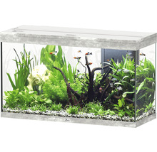 Aquarium avec poissons, plantes et décorations