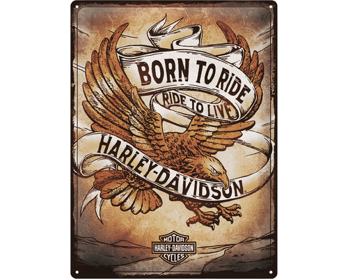 Plaque en tôle Born to Ride Eagle 30x40 cm