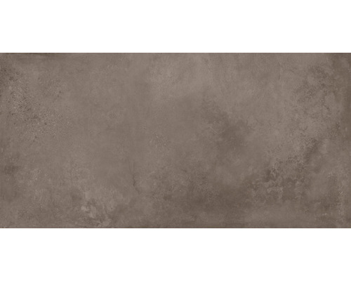 Carrelage sol et mur en grès cérame fin Loftstone 120 x 59,5 cm taupe Carrelage avec surface mate