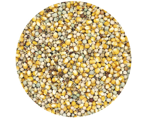 Gros plan sur des aliments pour oiseaux à base de maïs, de pois et de céréales