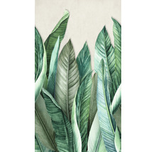 Illustration de feuilles tropicales