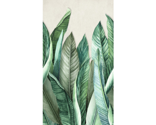 Illustration de feuilles tropicales