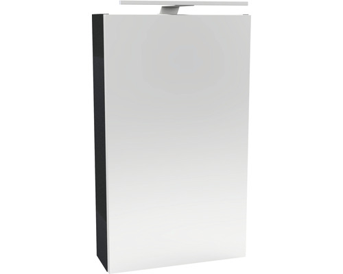 Armoire de toilette FACKELMANN SBC Small Bathroom Collection 400 x 16,2 x 680 mm anthracite 1 porte led